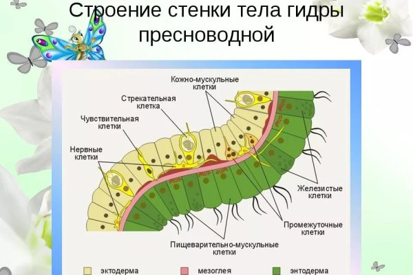 Кракен krakens13 at