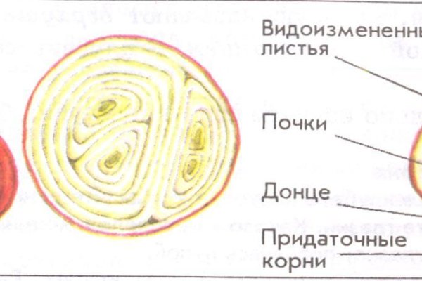 Рабочая ссылка кракен маркетплейс